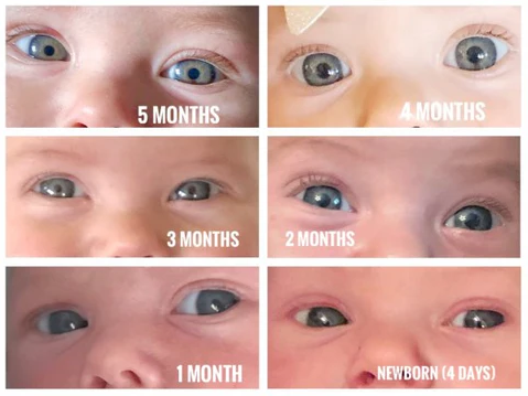 Baby's Eye Color best optical shop near me sale price online contact lens free shipping baby ages
