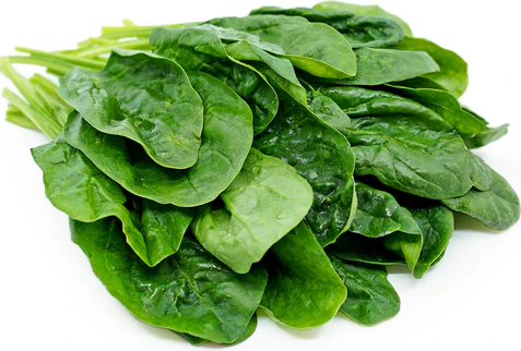 Variety Of Food To Take In Order To Protect Your Eyes Without Getting Bored top malaysia online shop retail for contact lens best prices sale eye case spinach