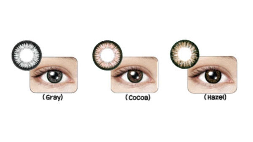Maxim Blue Box Best Optical Shop near me best online site for contact lenses best price sale display color swatches