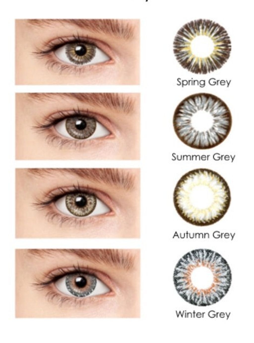 Blincon DD 3 Months 2 Lenses best color colour contact lenses best price online shop optical retail malaysia swatches grey