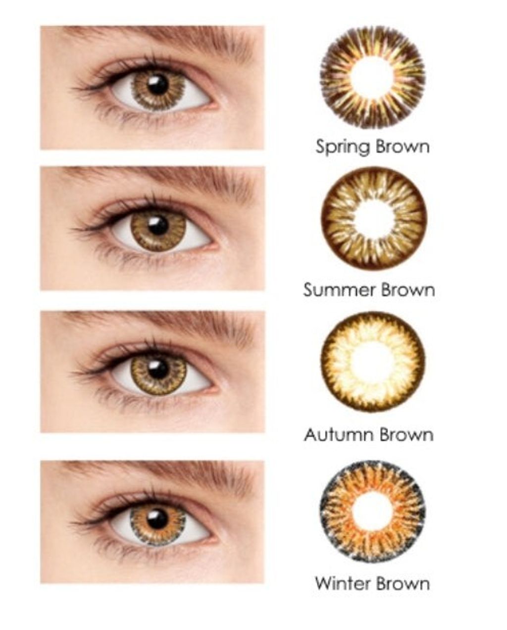 Blincon DD 3 Months 2 Lenses best color colour contact lenses best price online shop optical retail malaysia swatches brown