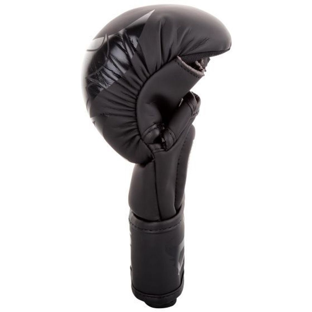 sparring_gloves_charger_black_black_1500_03_2_9f7e