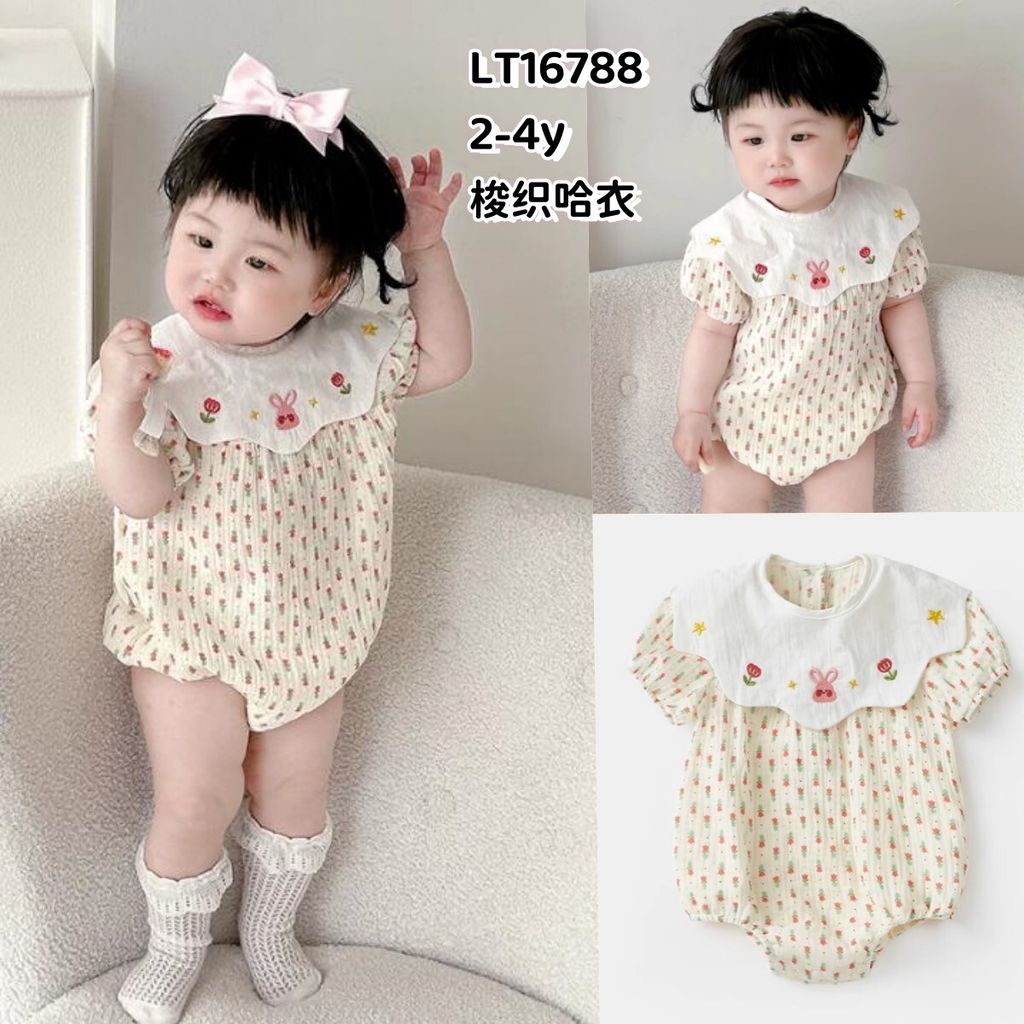 1615b811-24d2-419d-a29a-b23ac687339a