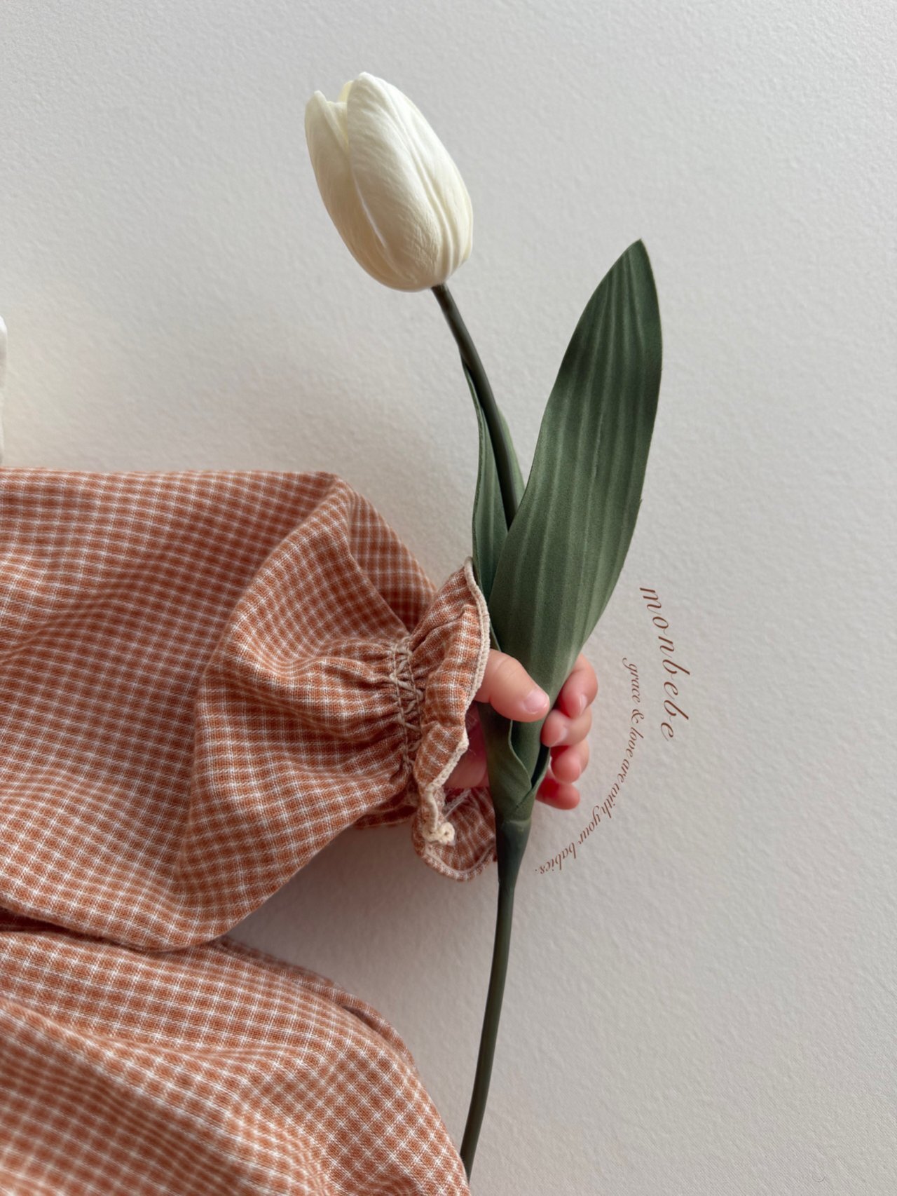 img_xl - 2026-01-22T001817.919