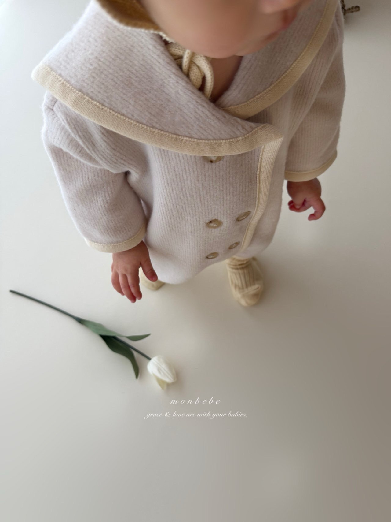 img_xl - 2026-01-22T034110.396