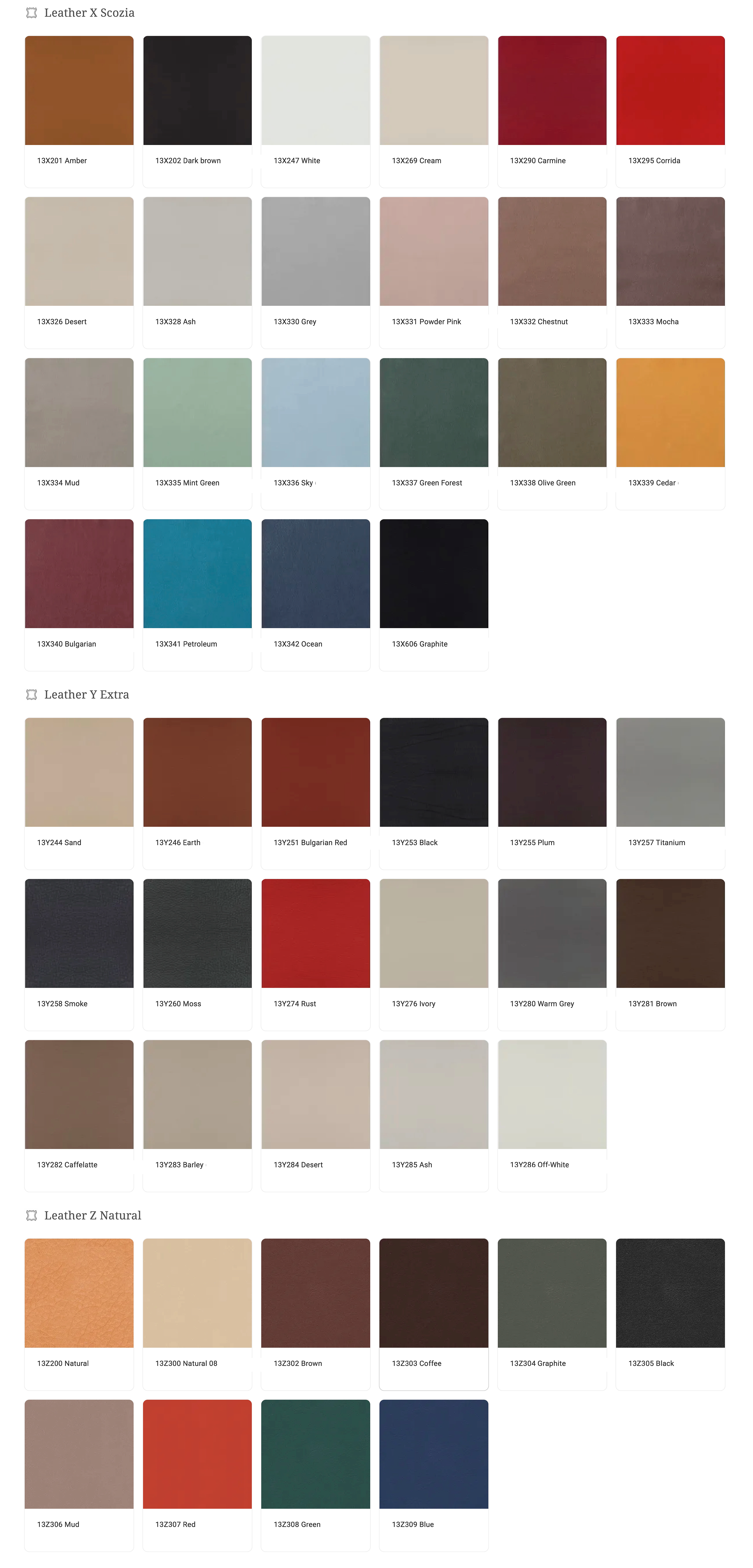 leather xyz