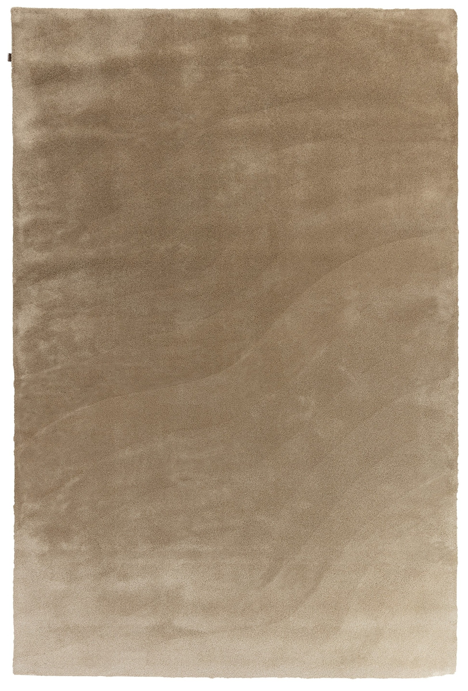 AstralChromatic_AR13758_Coconut_Rectangle_TV (1) (1)