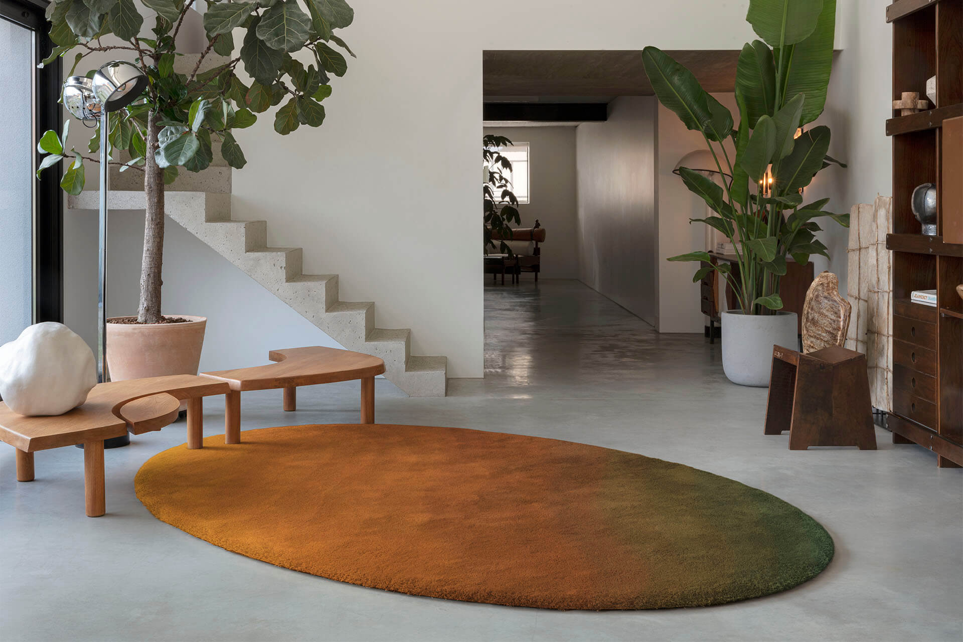 Callisto_Chromatic_Medium_CTTM33886_Copper_Lizard_MD