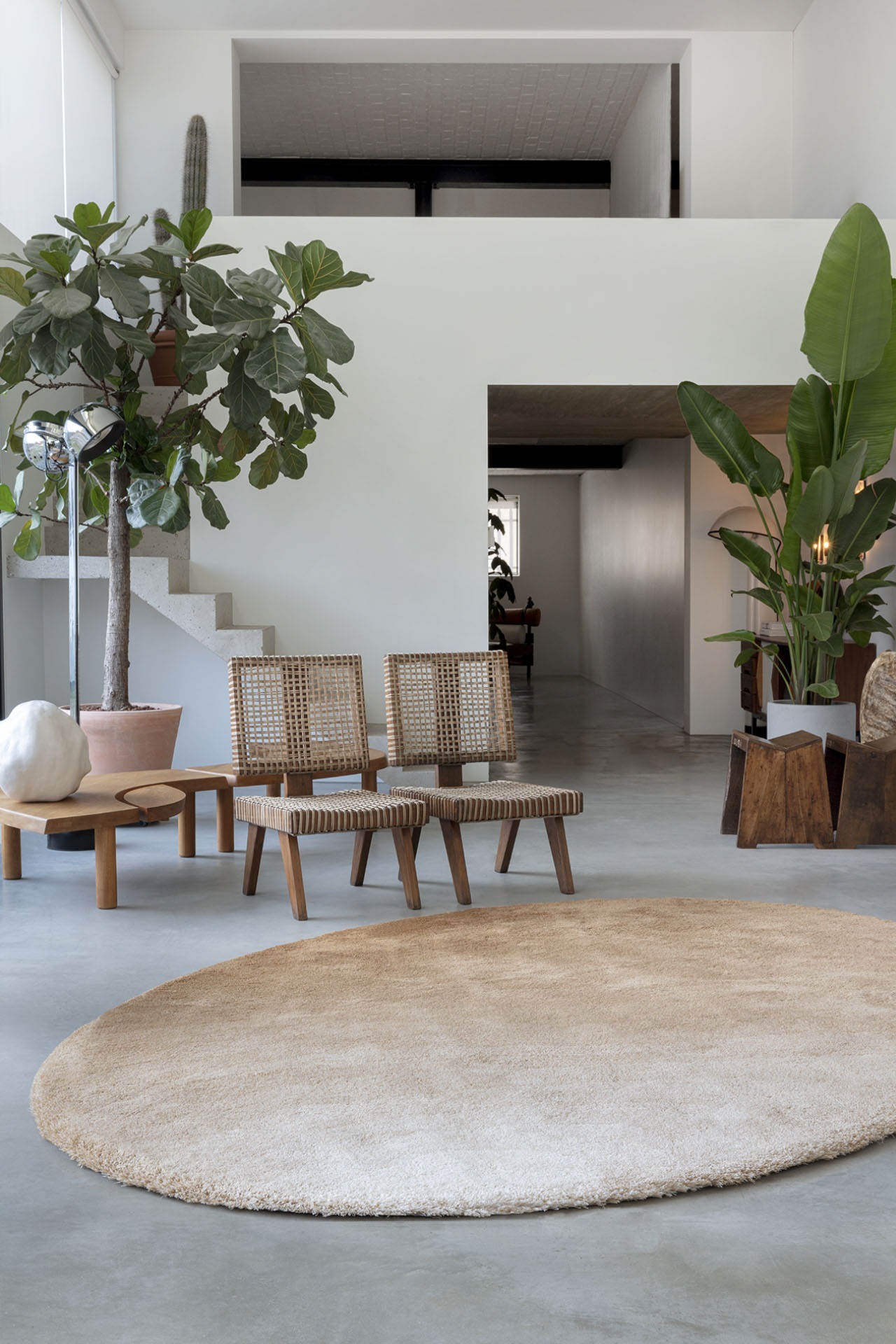 CallistoChromatic_High_CTHE76795_PearlPecan_Elipse_MD_V (1)