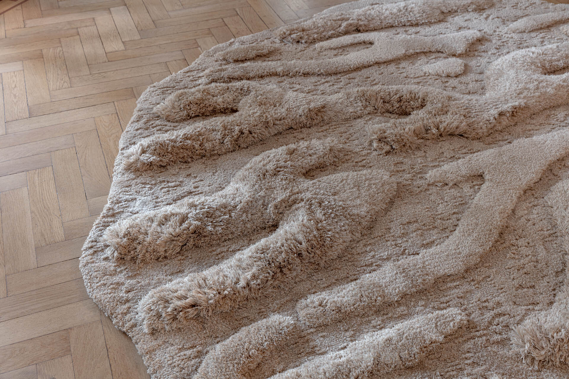 Cosmic_Costa_CMOC64007_Ginger_CU_H_2