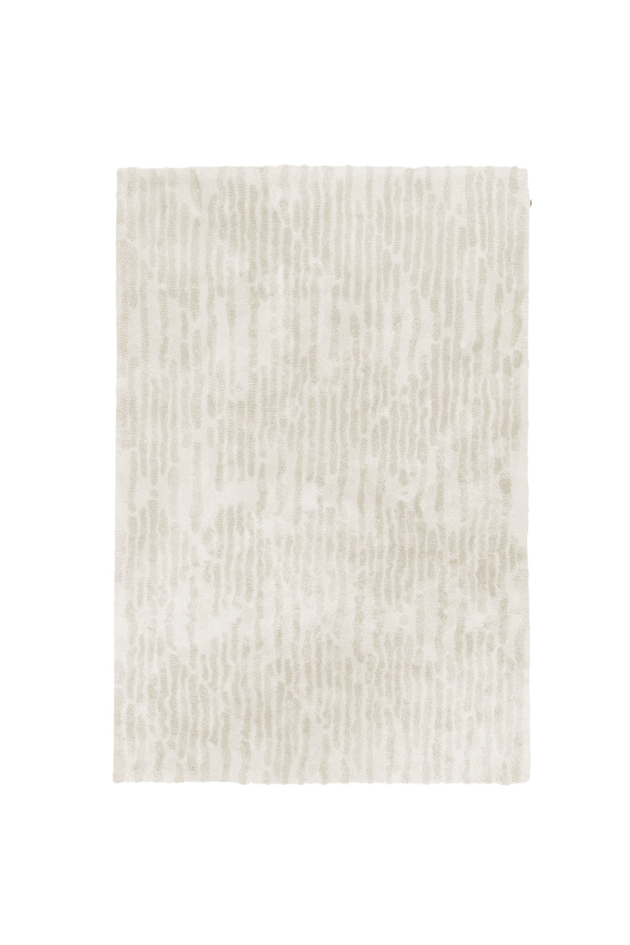 Top view_Cosmic Vista_Silver Birch