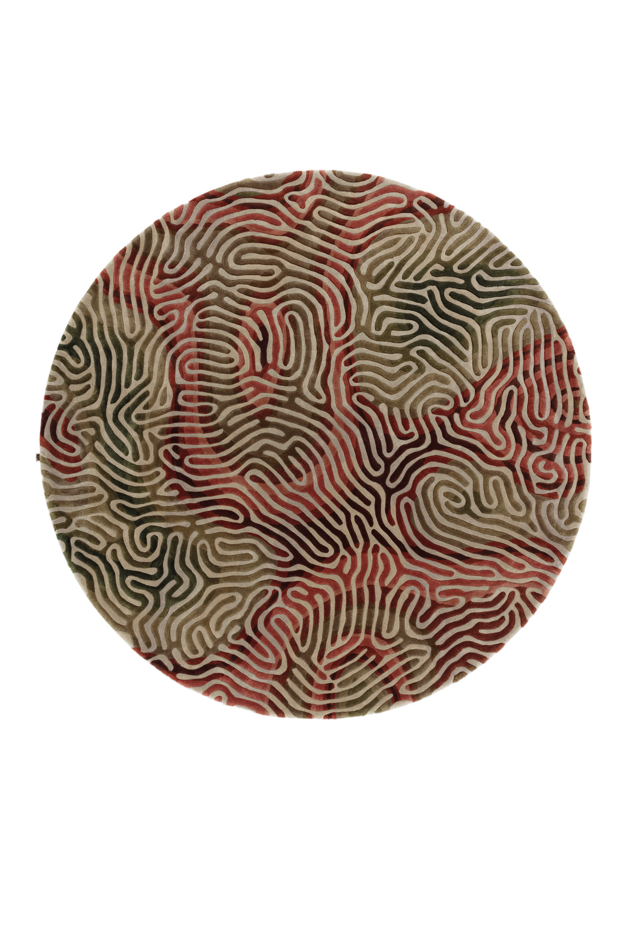 TopView_ParallelBrain_ChiliMoss_Circle