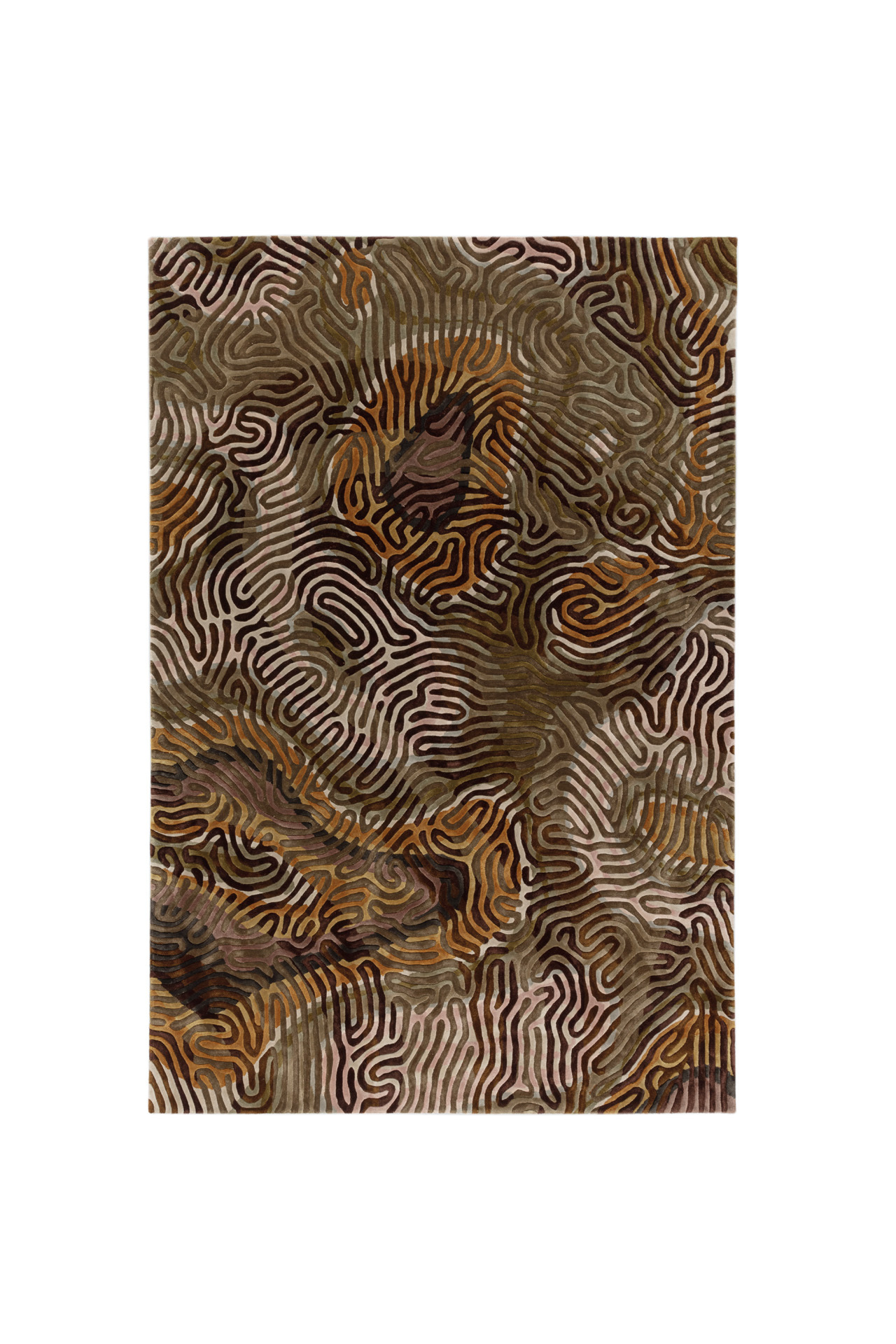 TopView_ParallelBrain_Golden