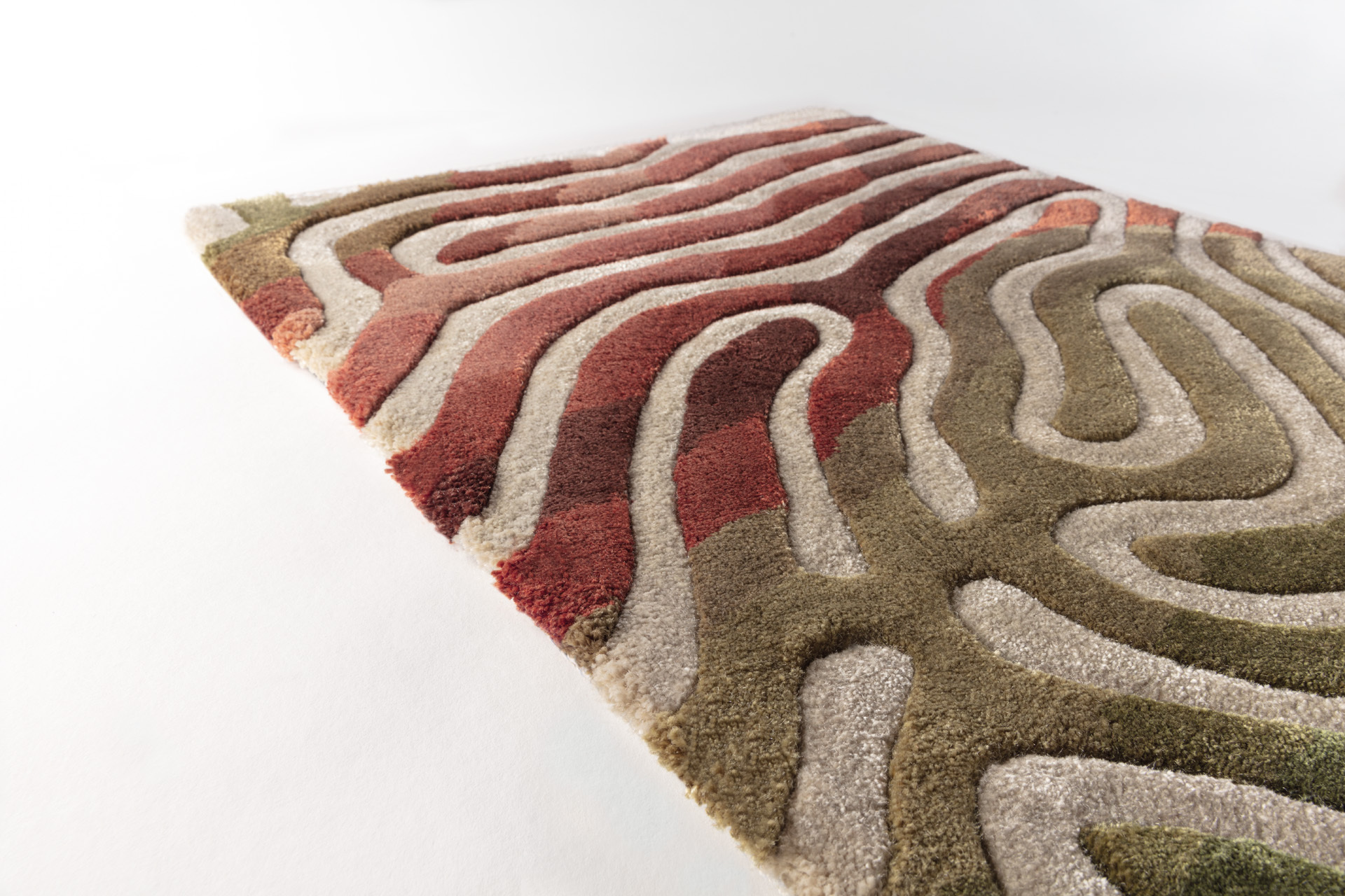 SideView_ParallelBrain_ChiliMoss