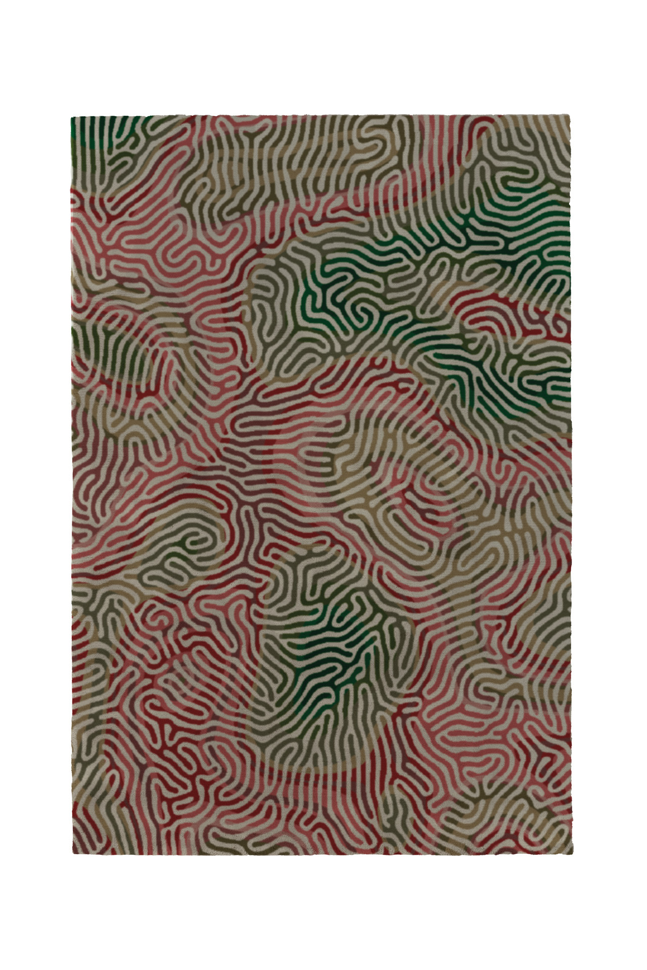 TopView_ParallelBrain_ChiliMoss