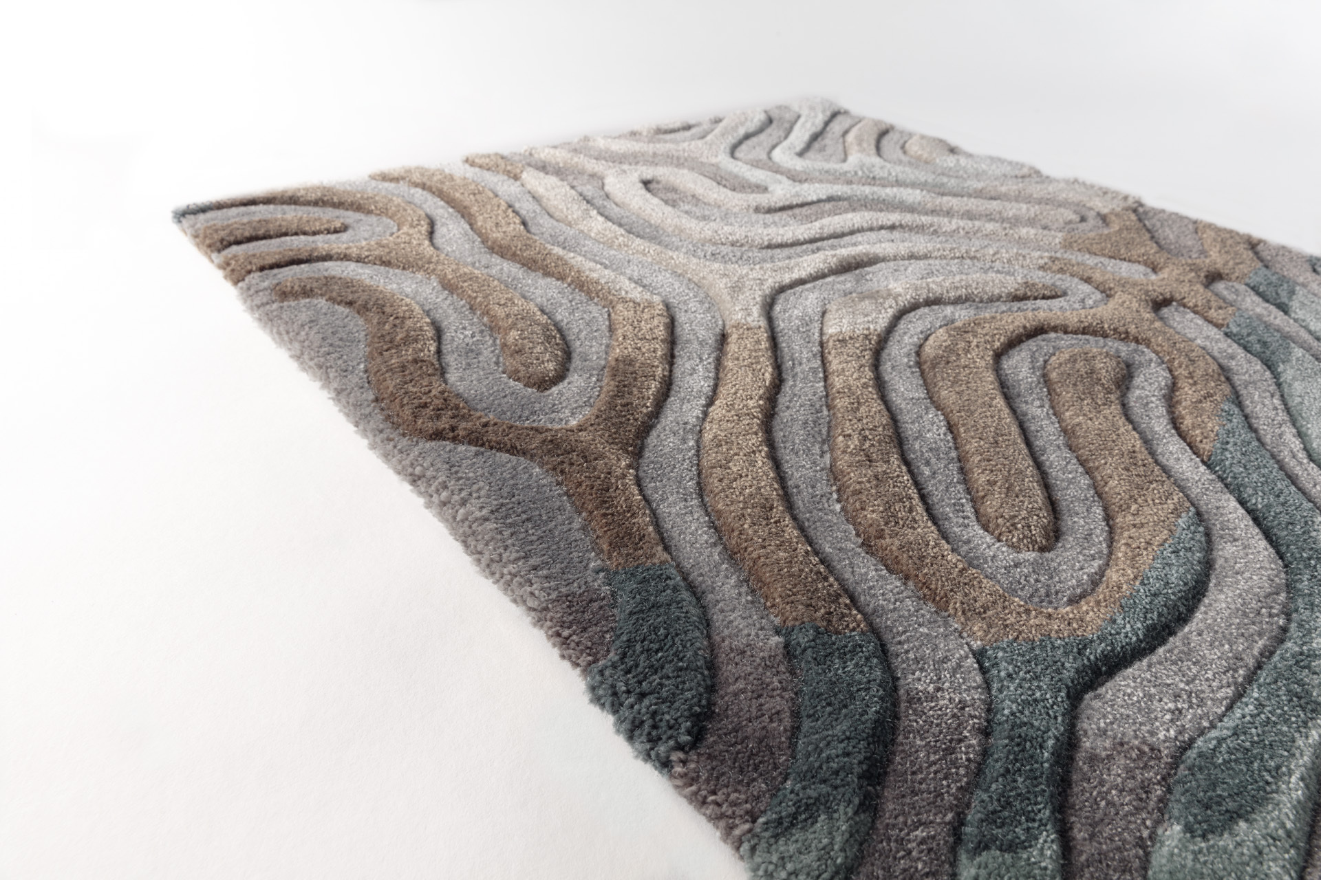 SideView_ParallelBrain_SeaPine