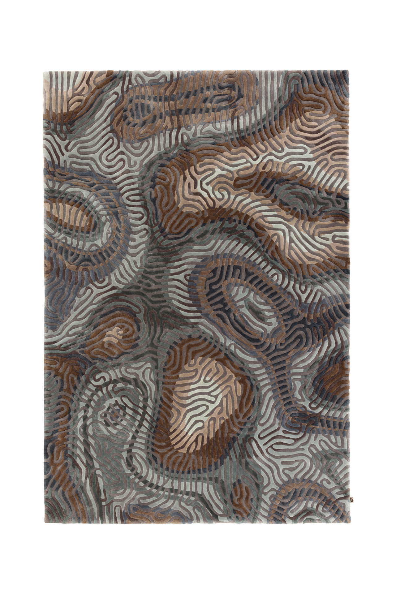 TopView_ParallelBrain_SeaPine