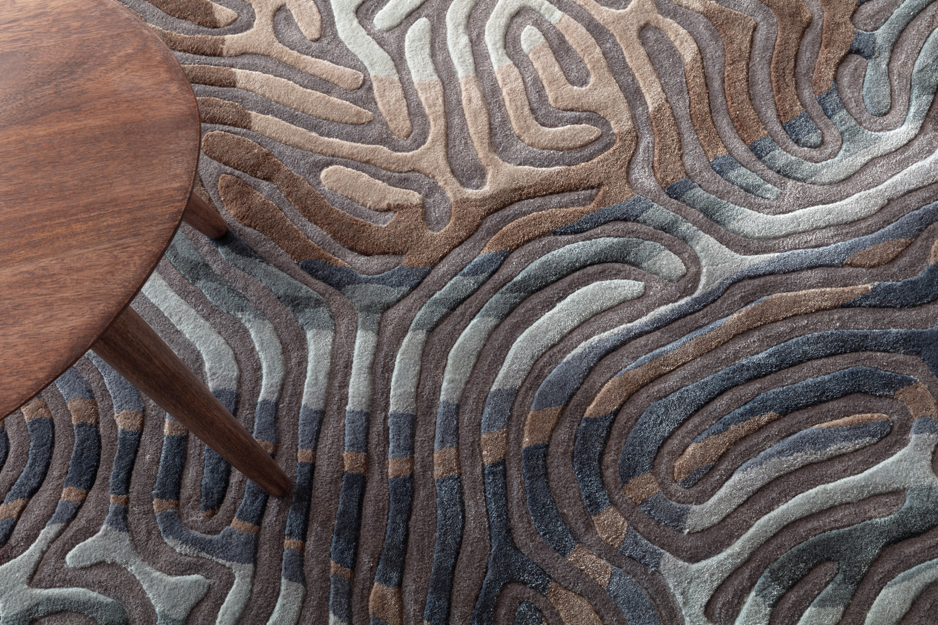 CloseUp_H_ParallelBrain_SeaPine