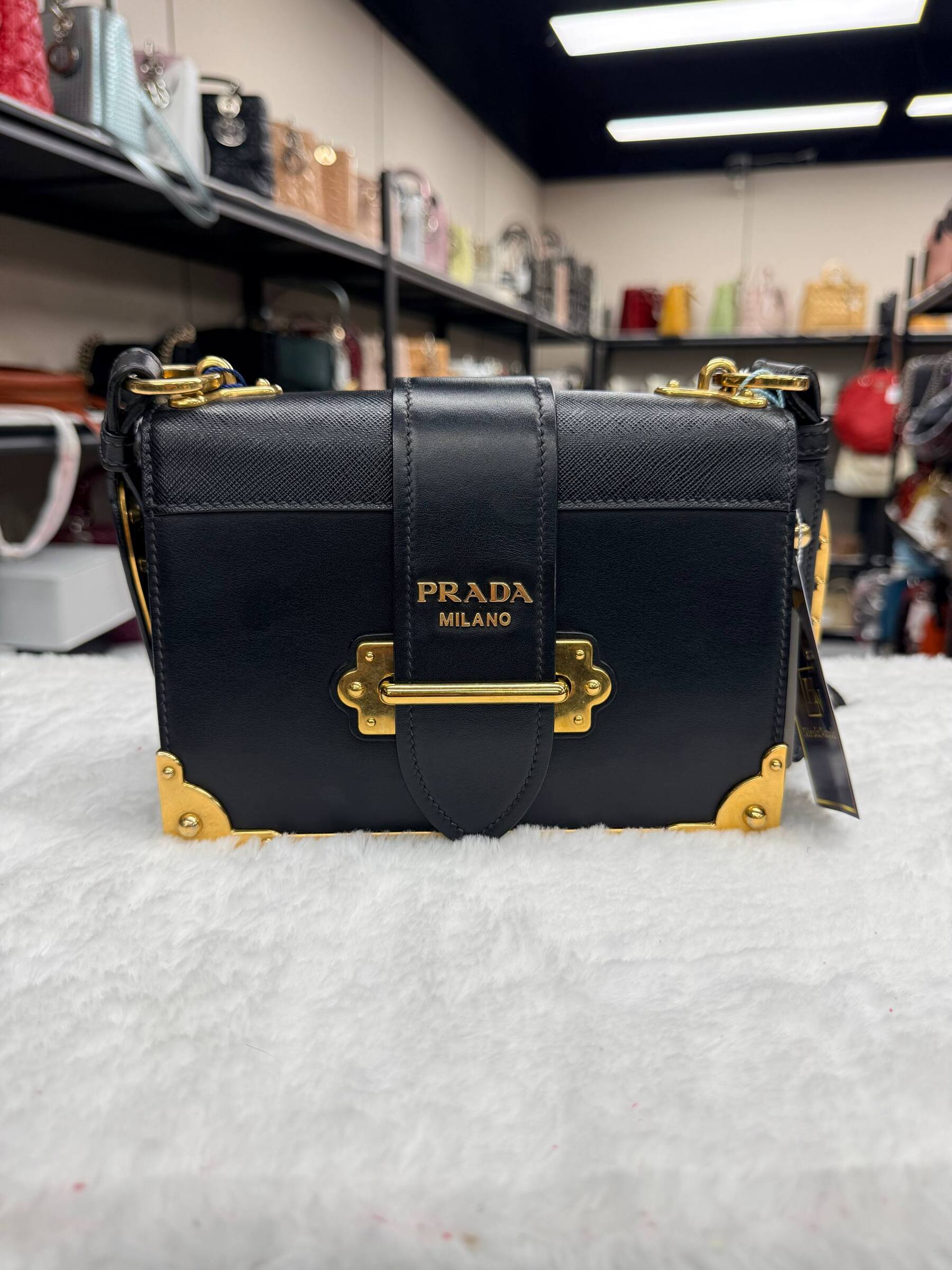 IMAGE 2026-03-25 13:25:26