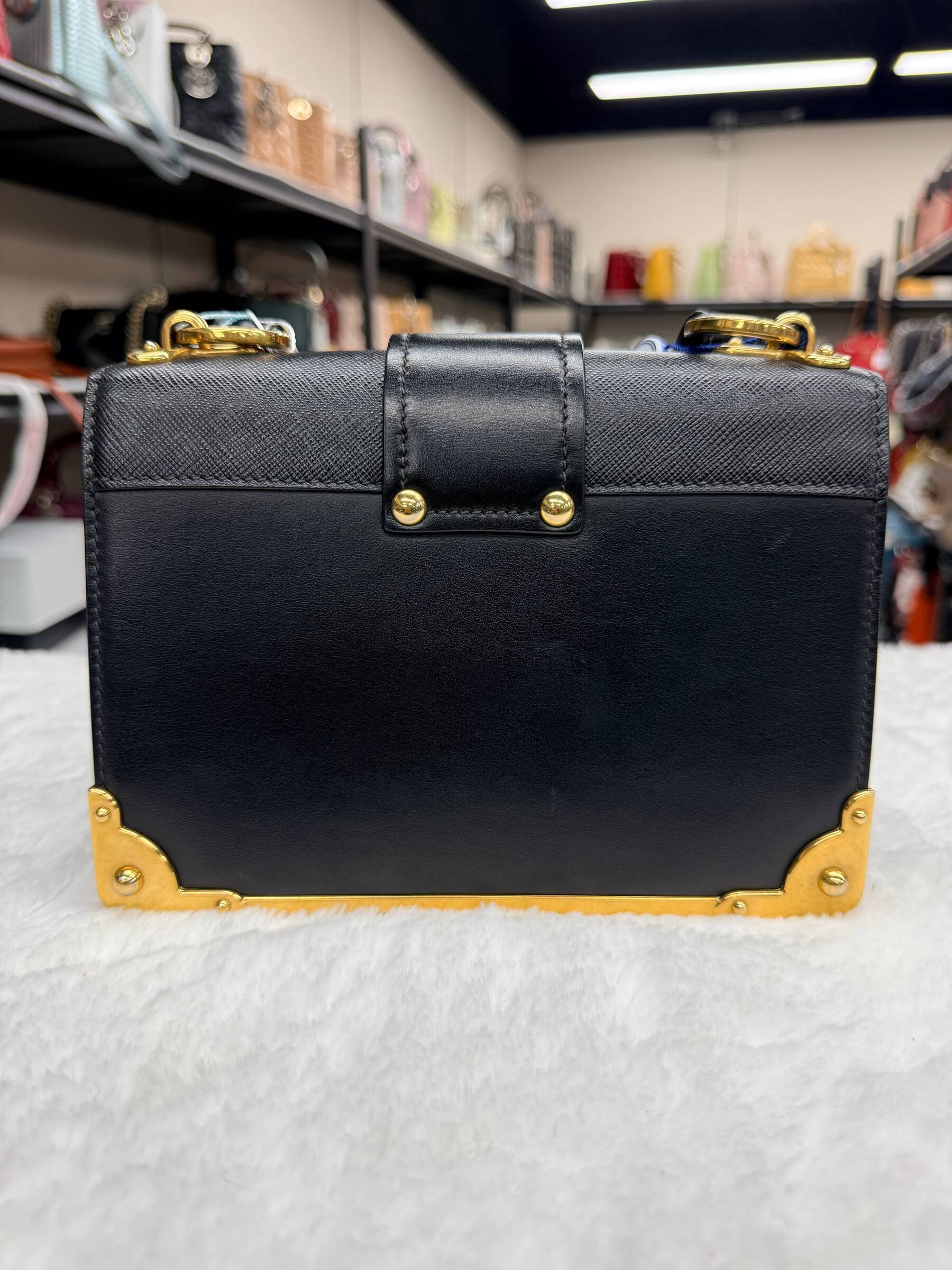 IMAGE 2026-03-25 13:25:29