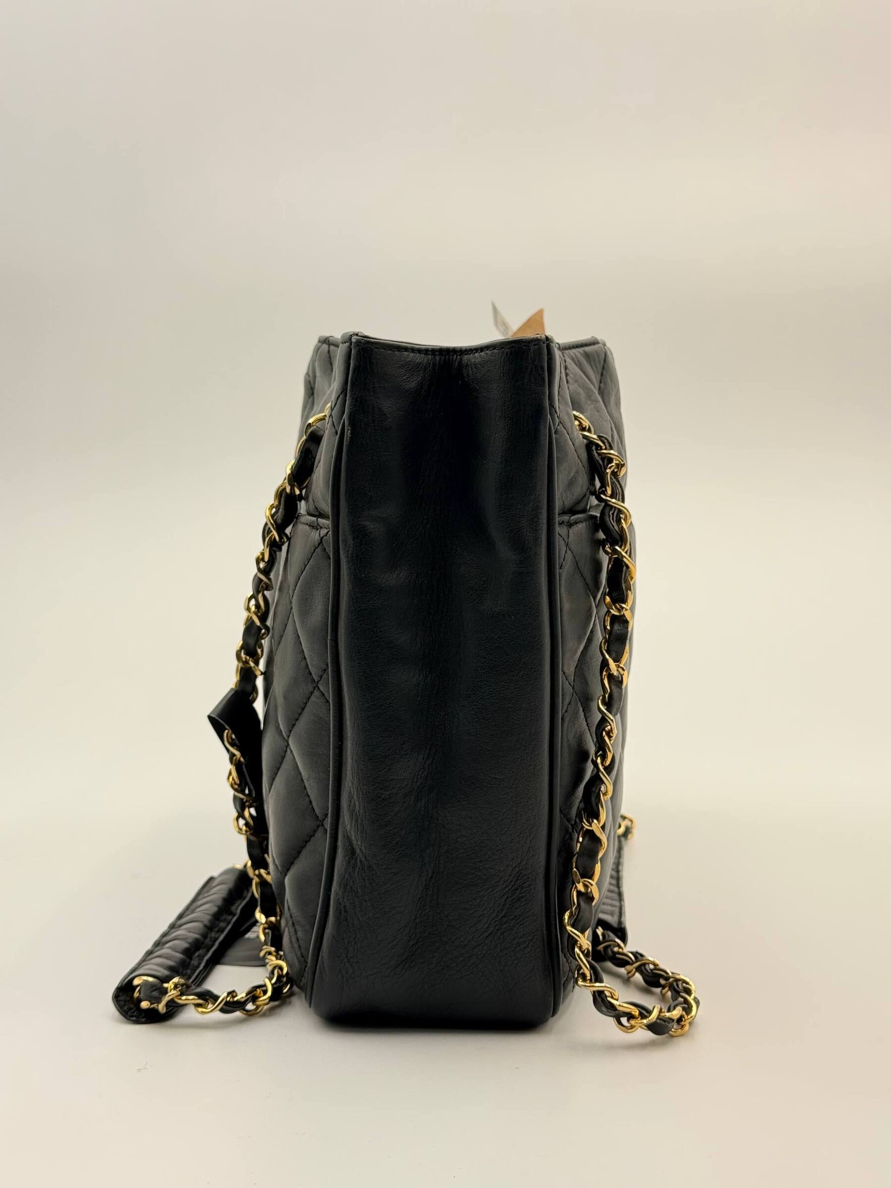 IMAGE 2026-03-29 13:29:55