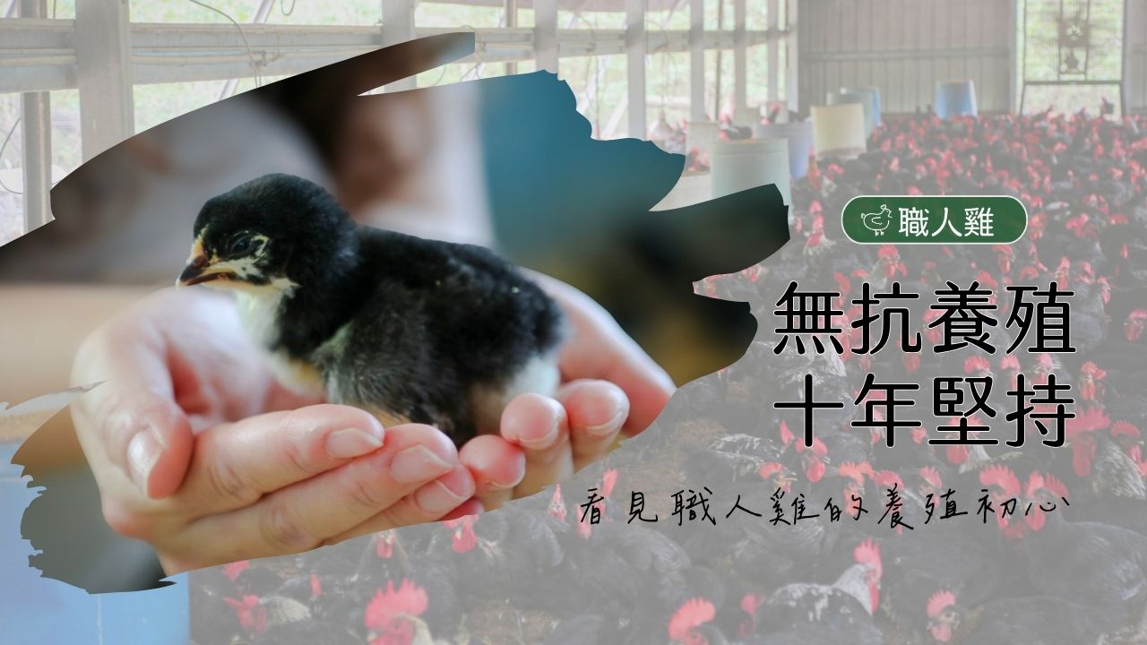 ｜品牌理念｜