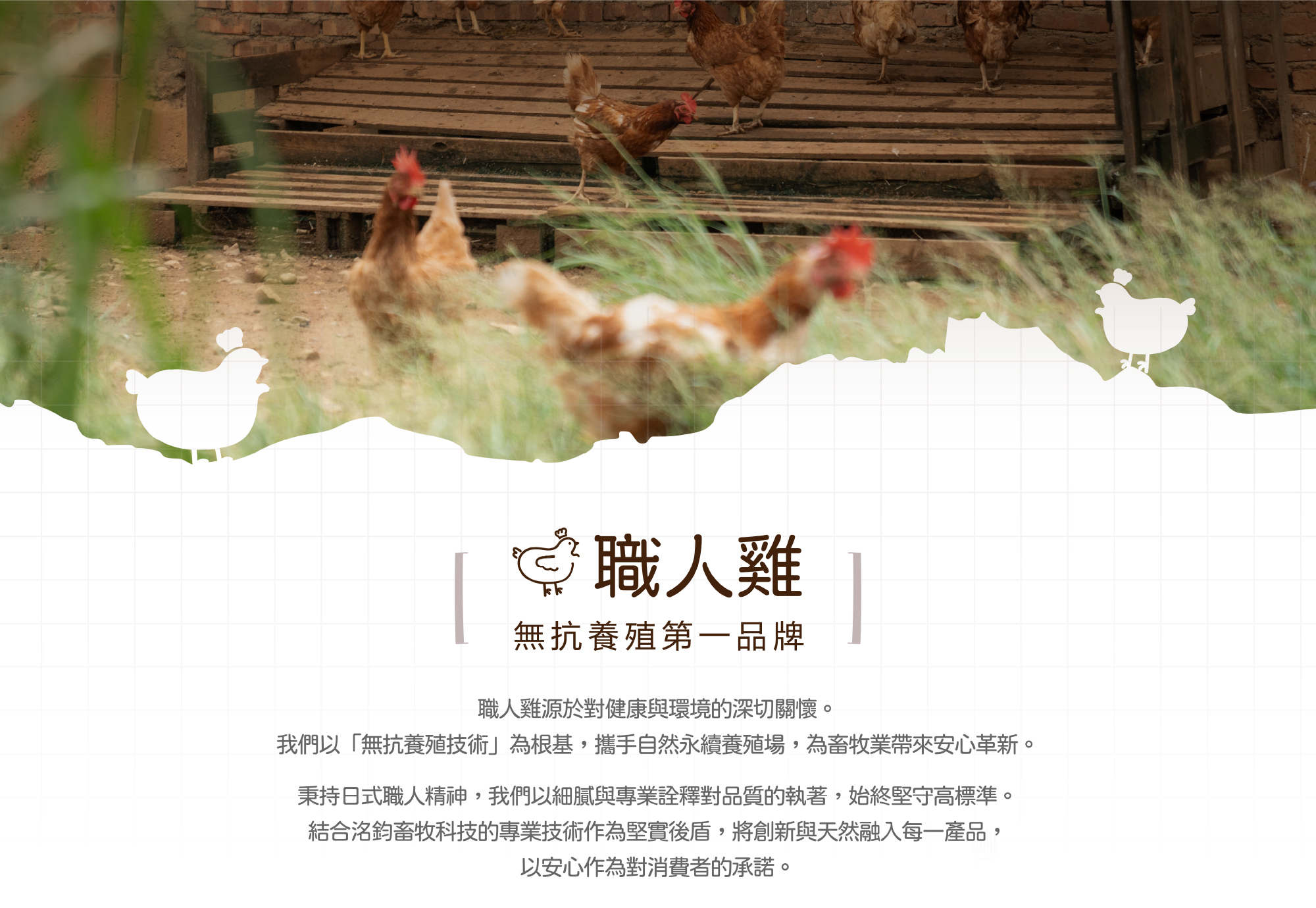品牌故事00214
