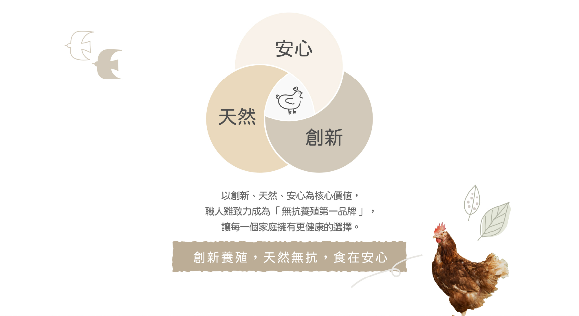 品牌故事10214
