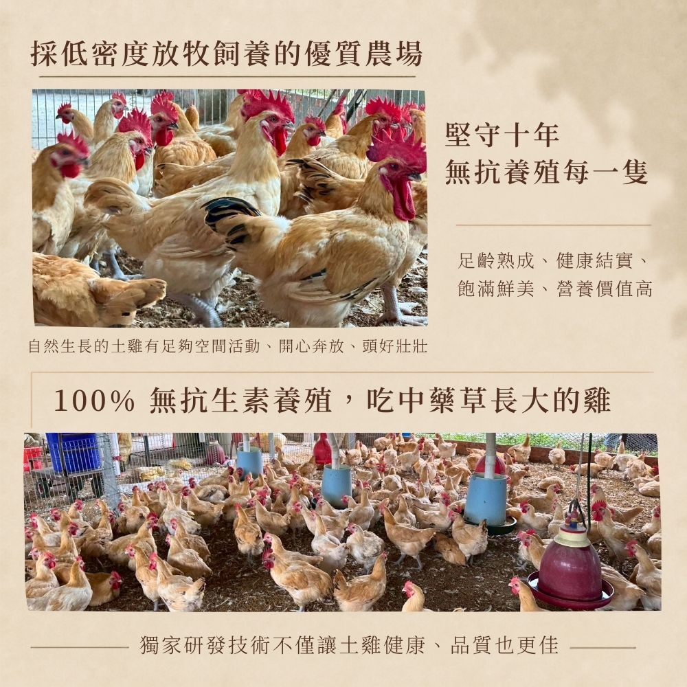 滴雞精官網圖3