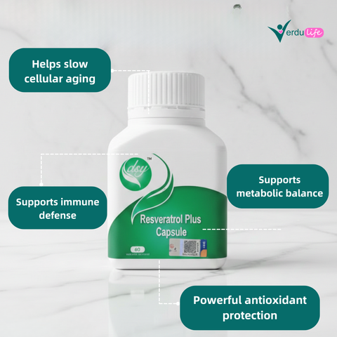 verduconcept pic (8)