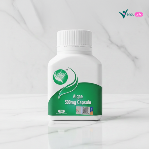 verduconcept pic (9)