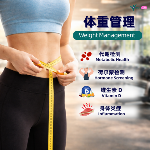 verduconcept pic (12)