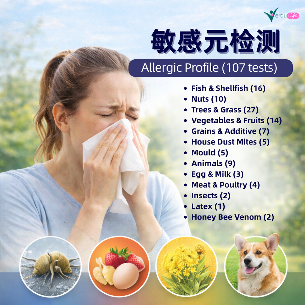 verduconcept pic (16)