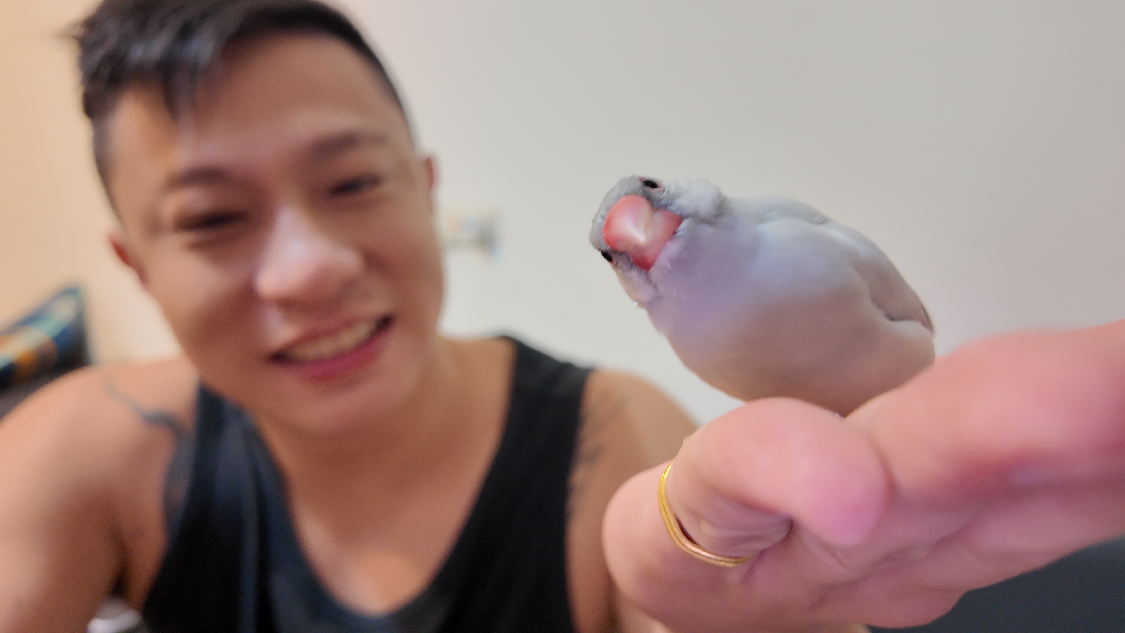 dji_mimo_20241228_214322_20241228214322_1735393797413_photo