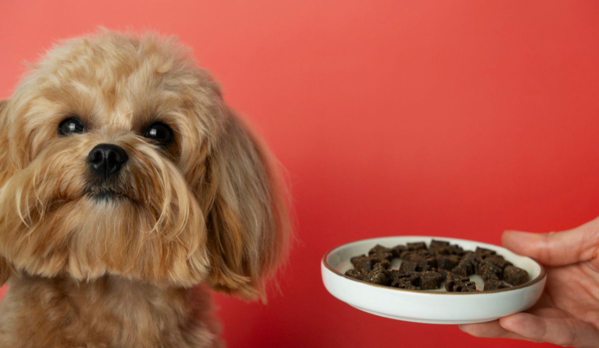 飼料要分這麼細？