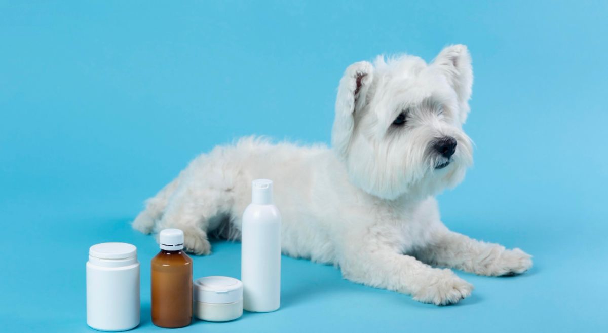 為什麼保健品有這麼多型態