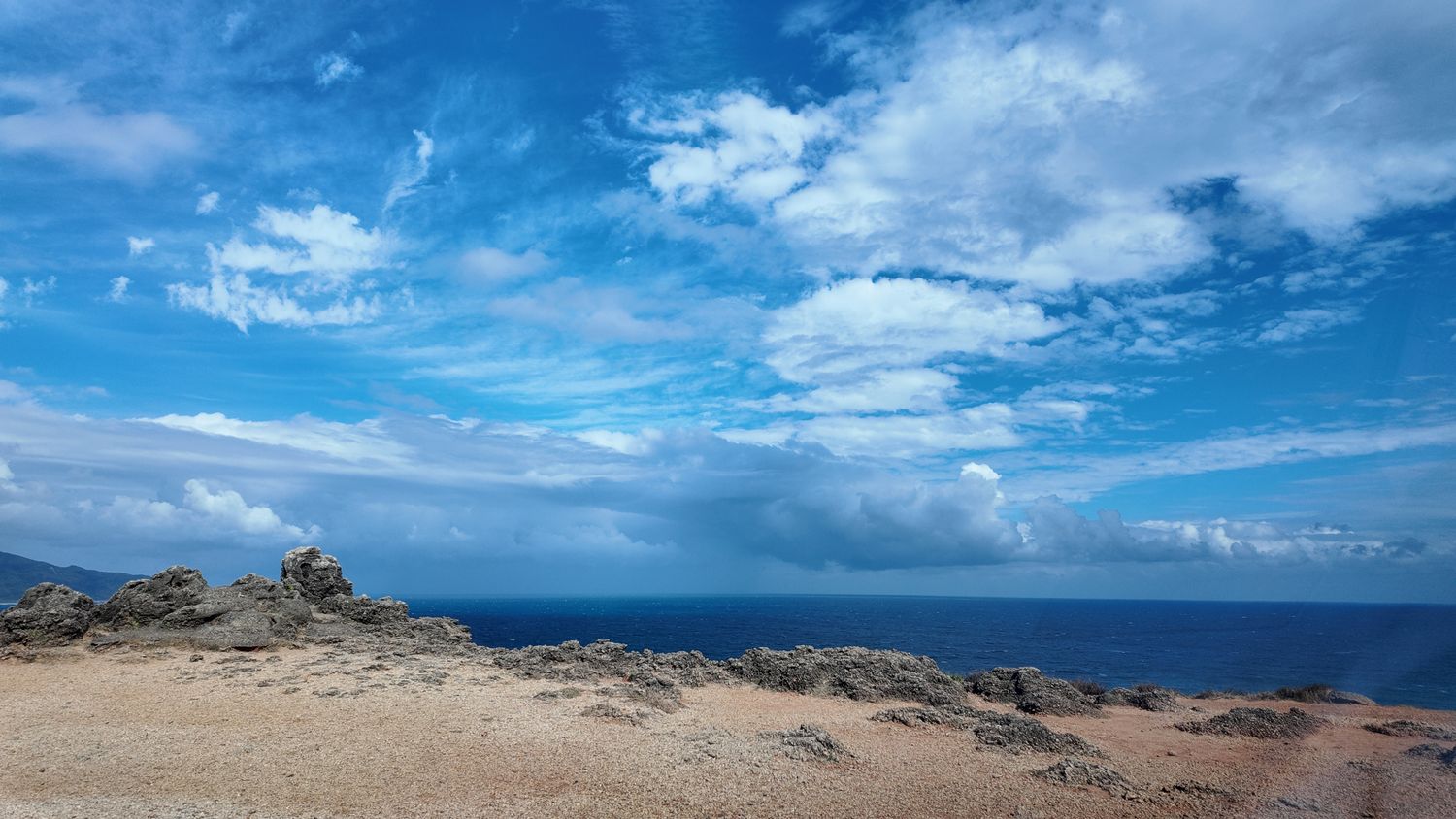 蘊陽寵物 | Peace