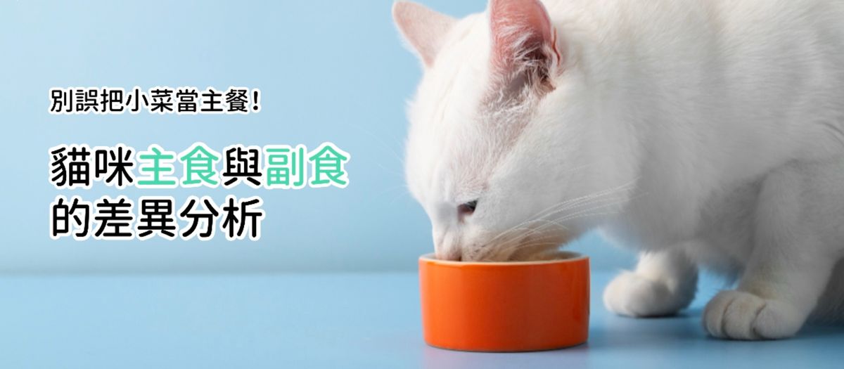貓咪主食罐頭與副食的差異分析