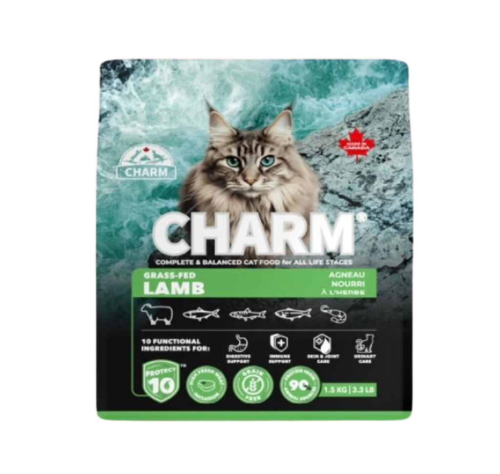 dda3b31a-e311-47e0-80cc-45b6499c3f86