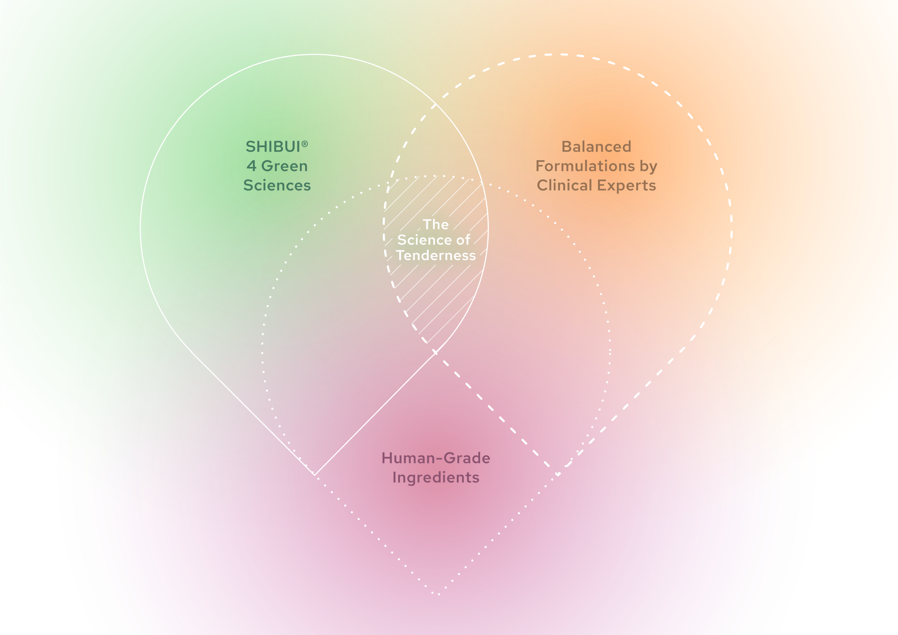 251106_SHIBUI_Catalogue_FAOL_18-3