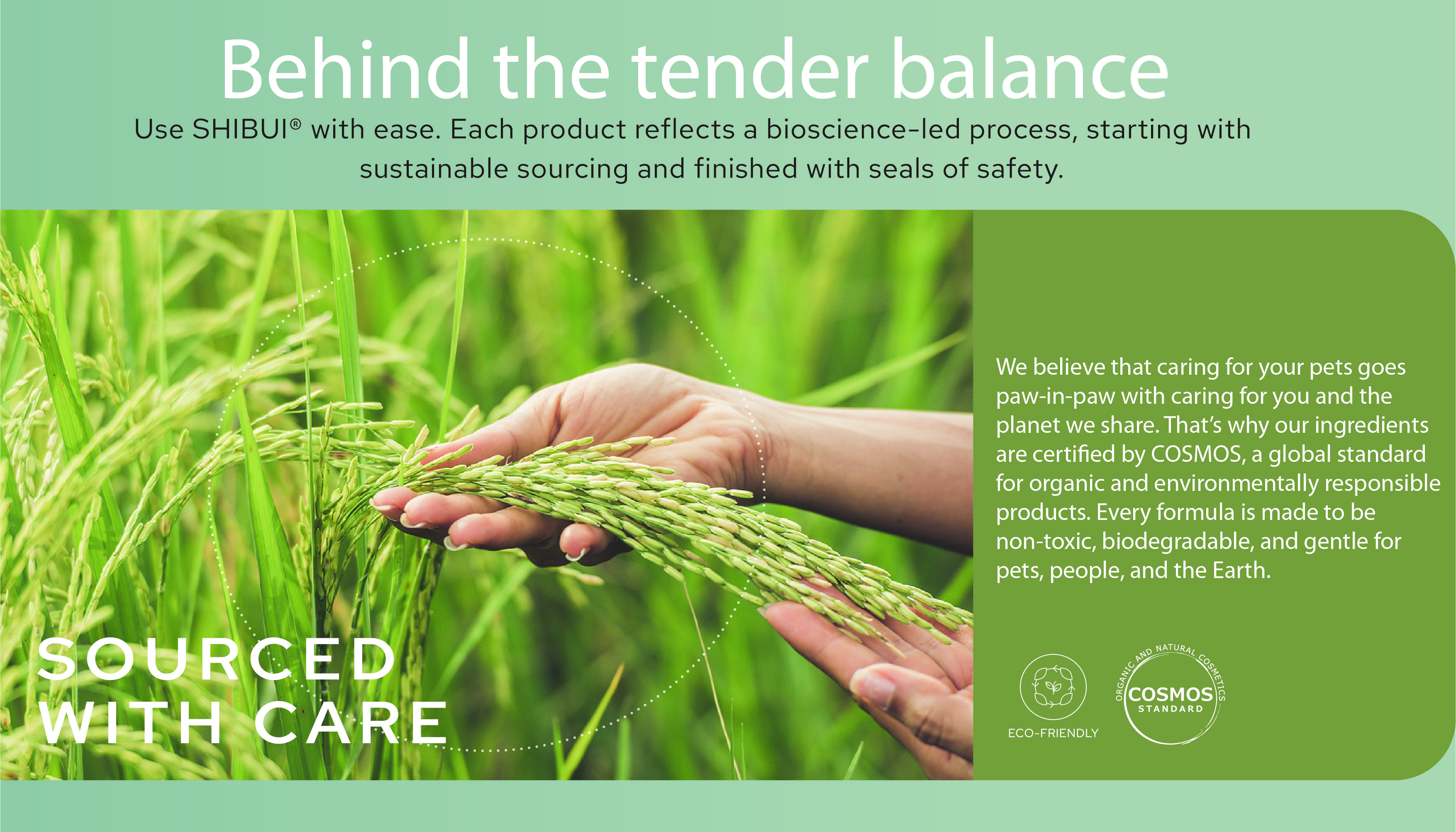 Web banner-05