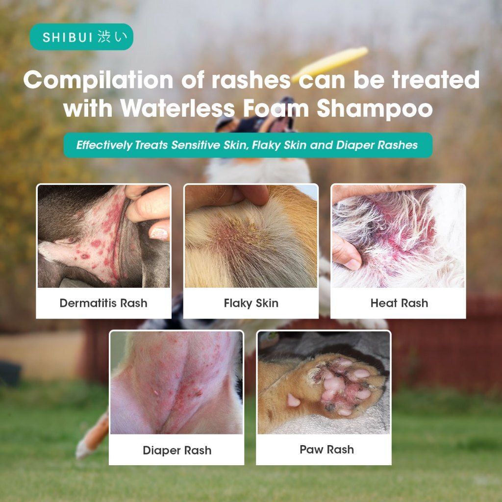 17282005569707ba4dbc196b45f371ec7e591c3731