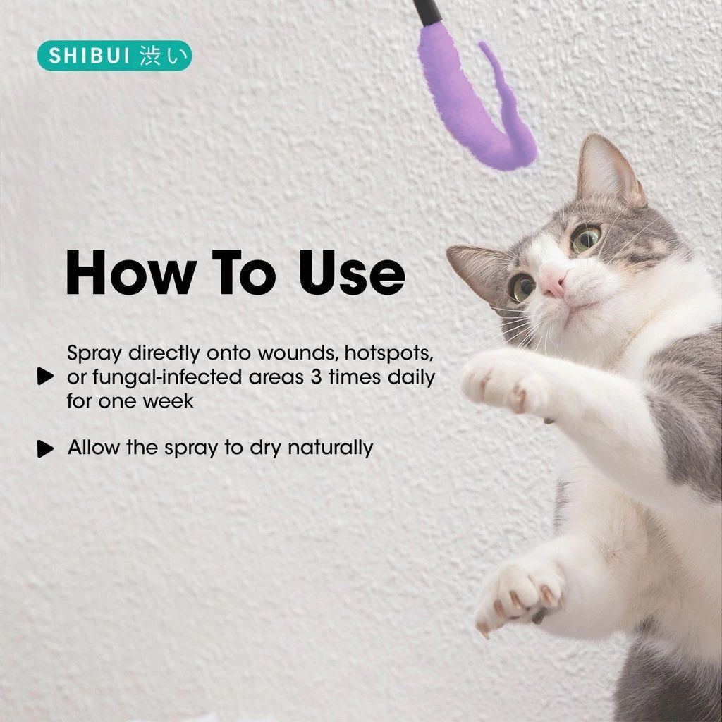 1735023226dcb3be735b536af469249a80200eedaa