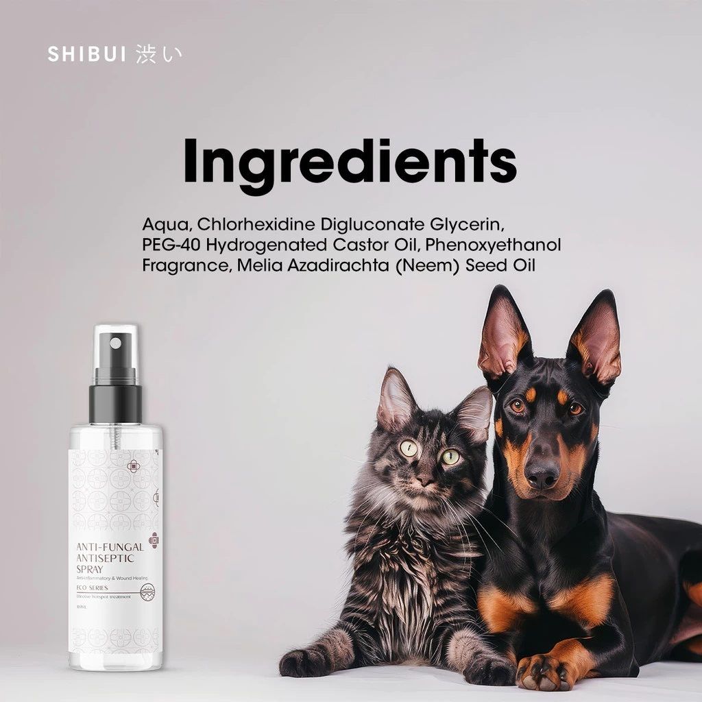 1735023230dcb3be735b536af469249a80200eedaa