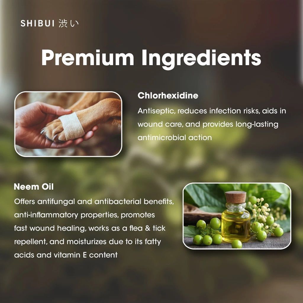 1735023975c64bc26a5d3346919e1d1bf06efbef66