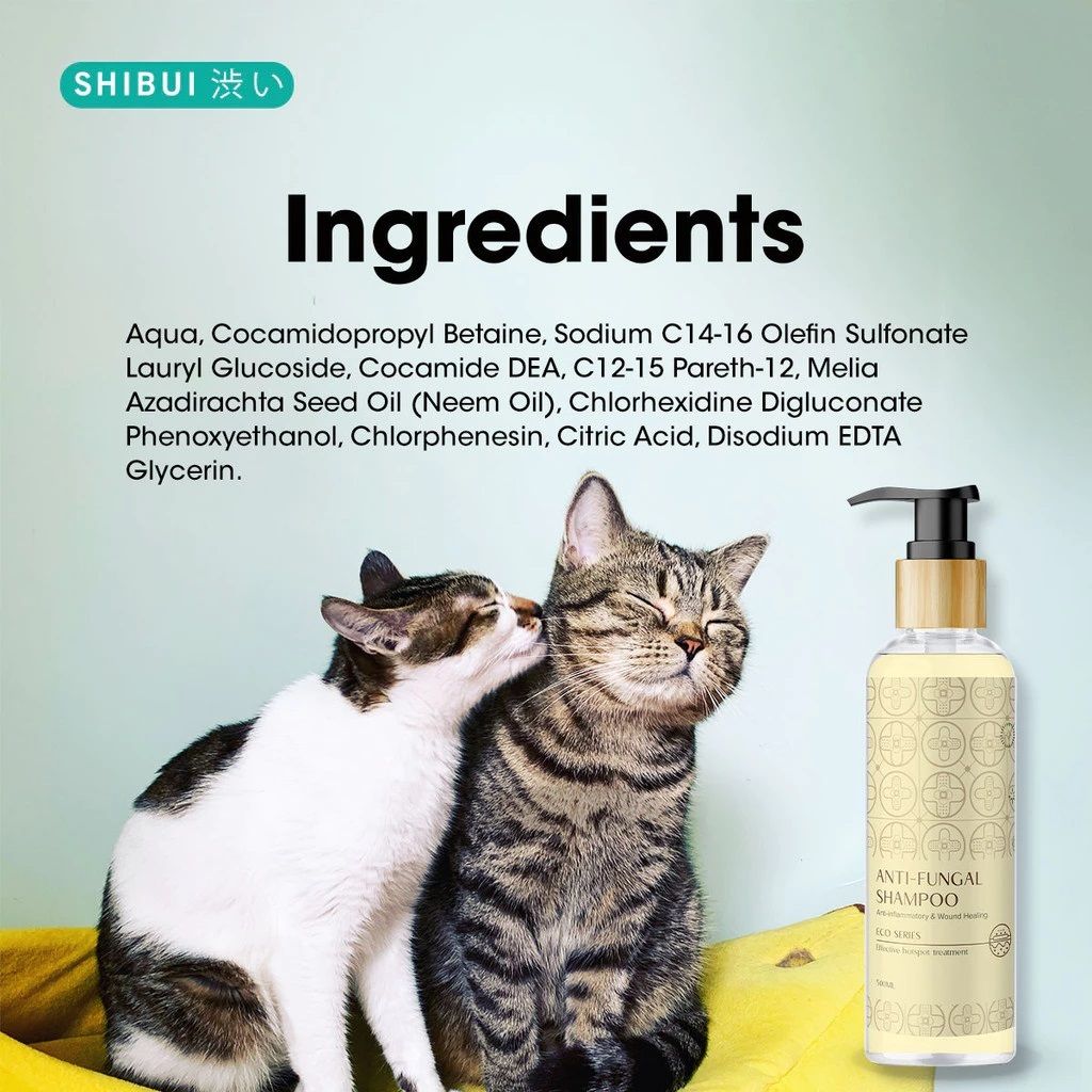 1735023970c64bc26a5d3346919e1d1bf06efbef66