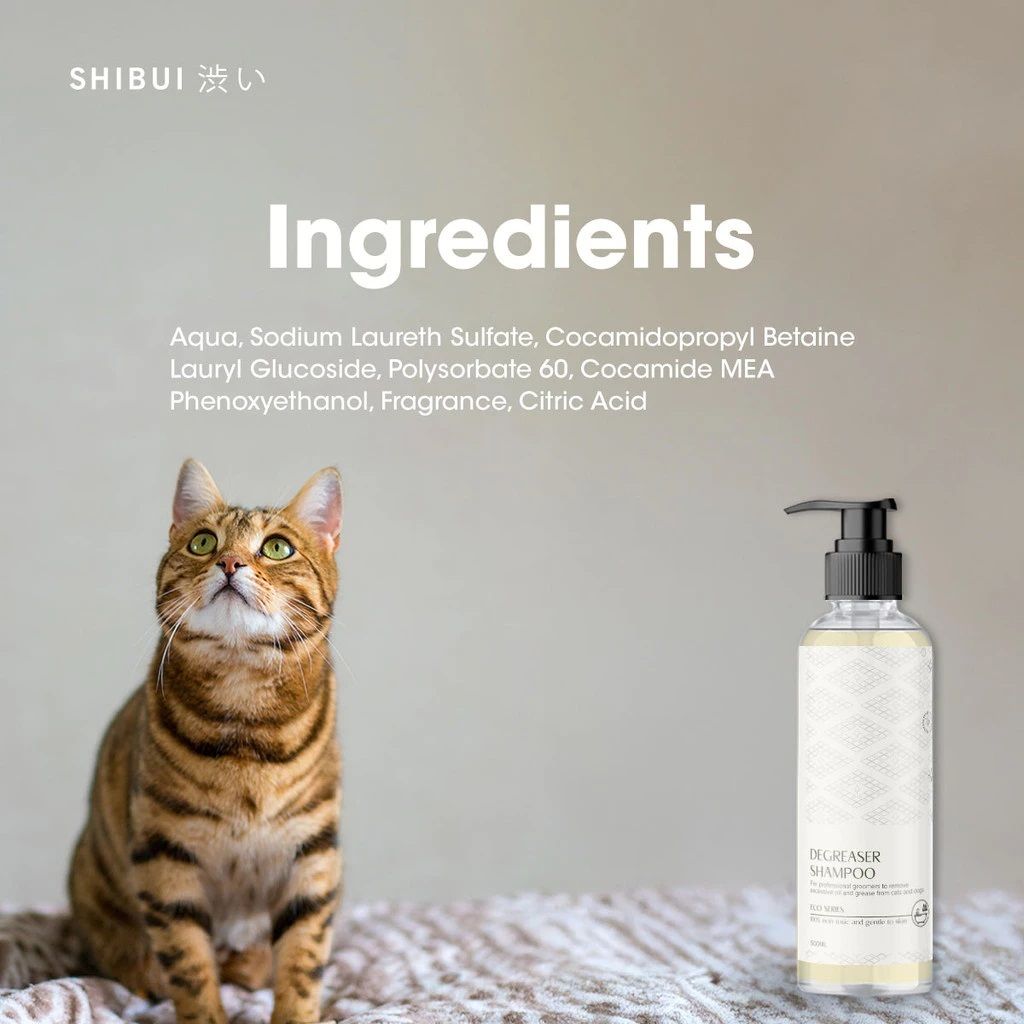 1735024981aa899bb04a3dc6c7ab3369b650f013b2