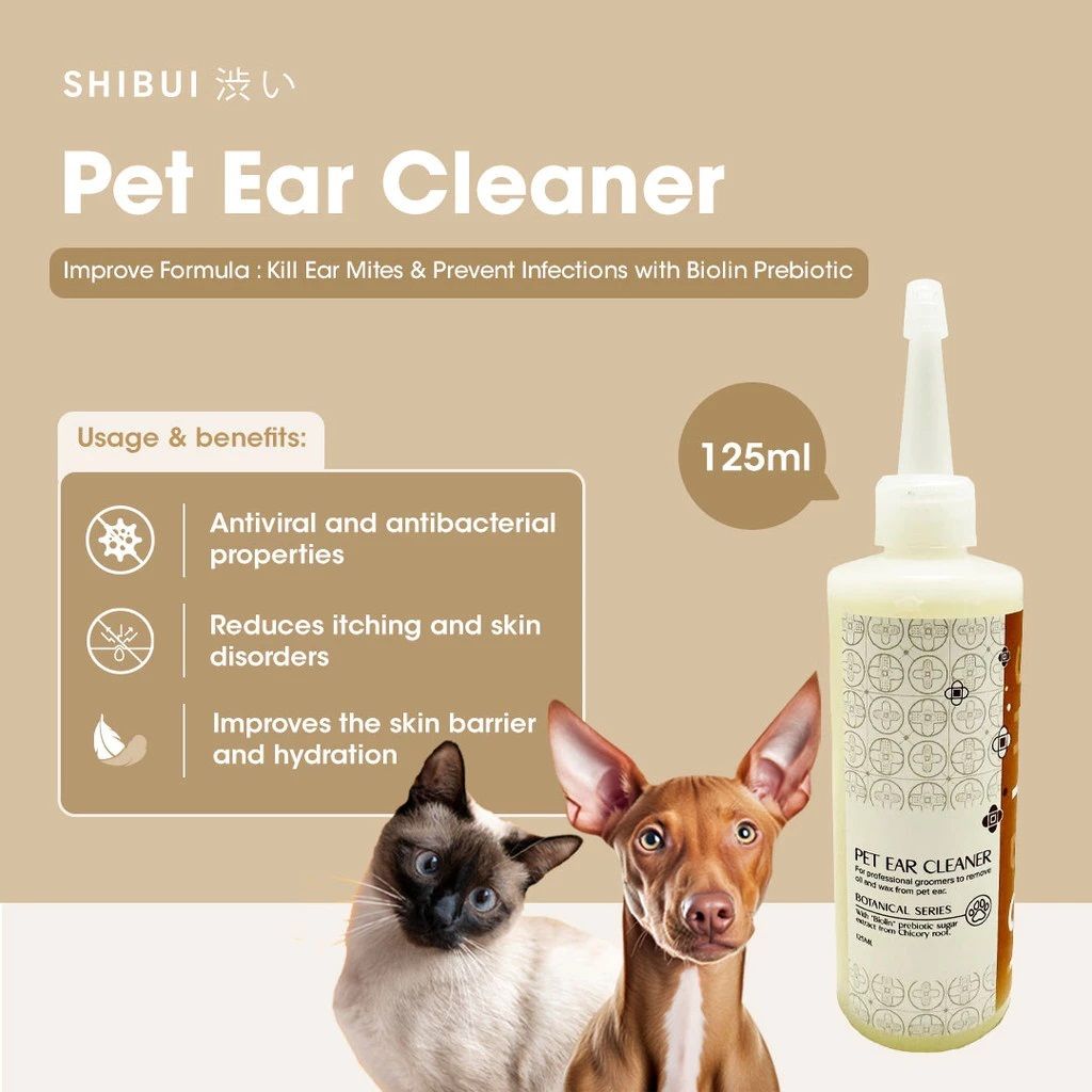 1735025208381d6336fd0477347fe830223ea55317