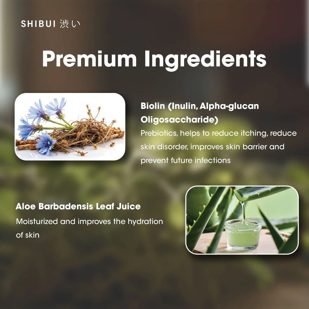 1735025226381d6336fd0477347fe830223ea55317