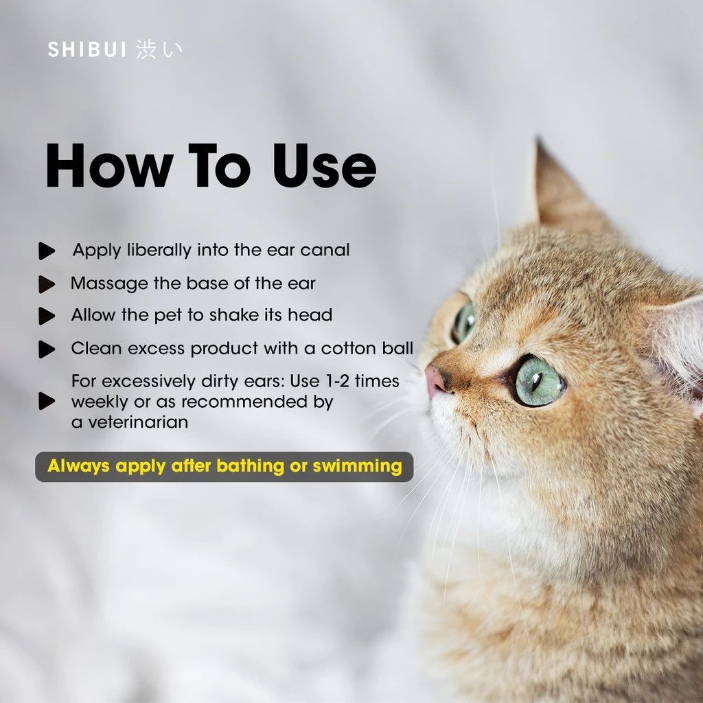 1735025217381d6336fd0477347fe830223ea55317